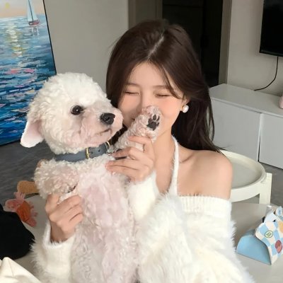 李佩西与五大王国的守护者