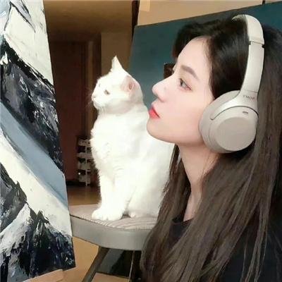动漫视界